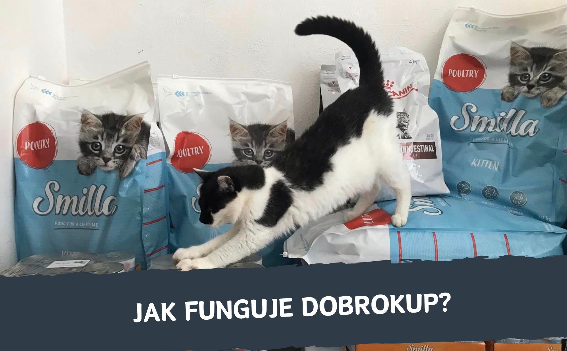 Jak to funguje?