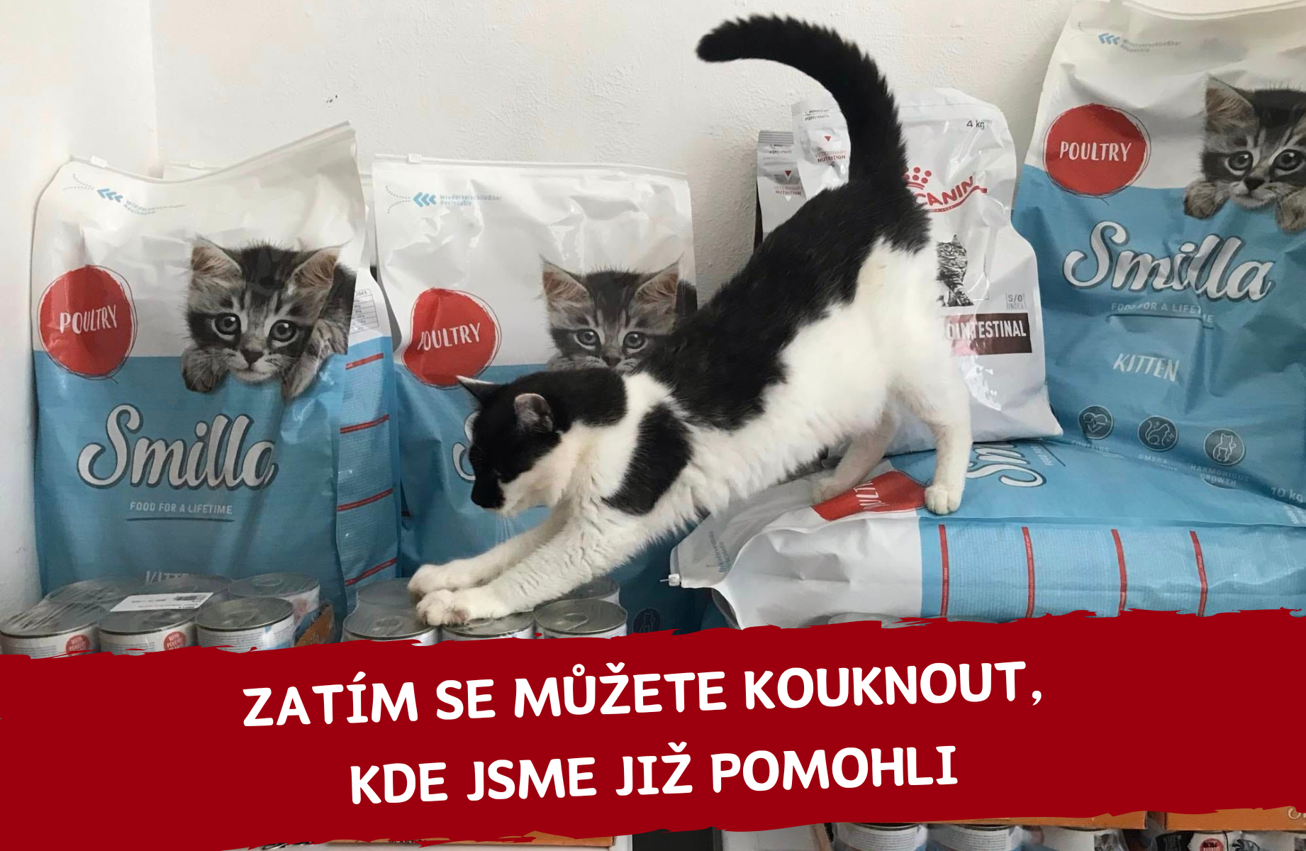 Kde jsme již pomohli