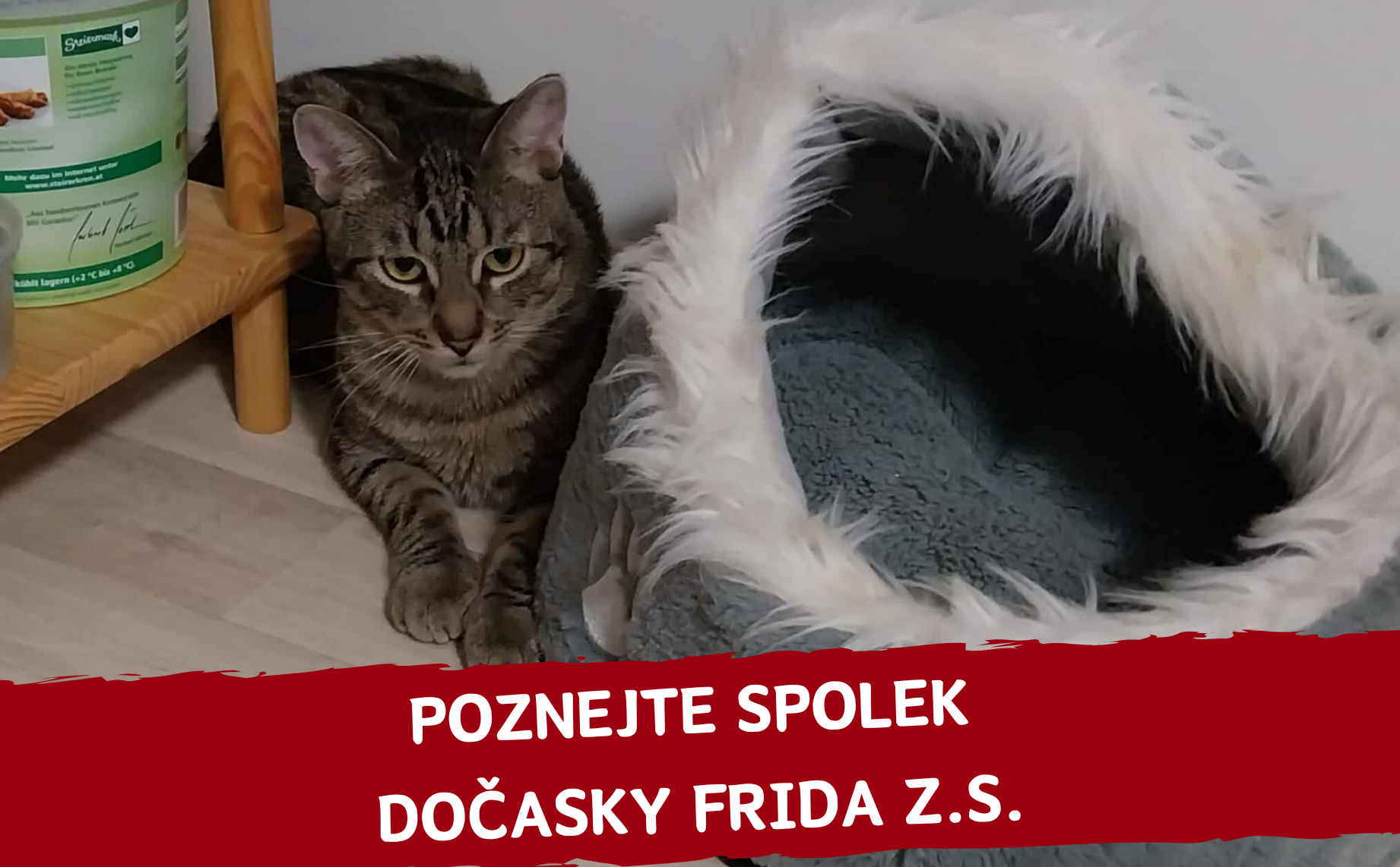 Komu tento měsíc pomáháme