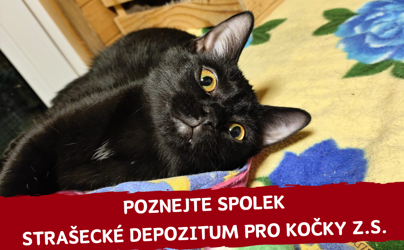 Komu tento měsíc pomáháme