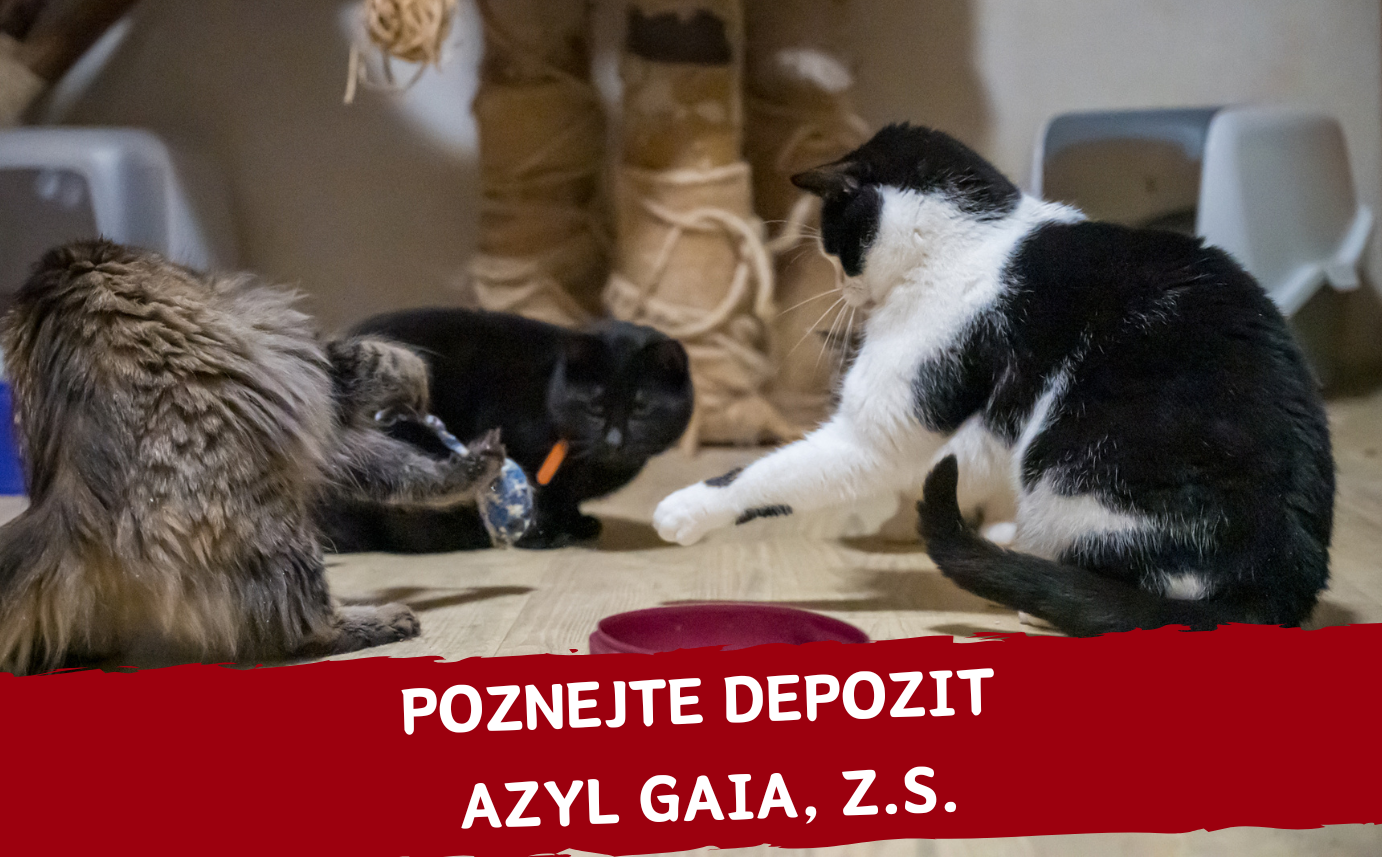 Komu tento měsíc pomáháme