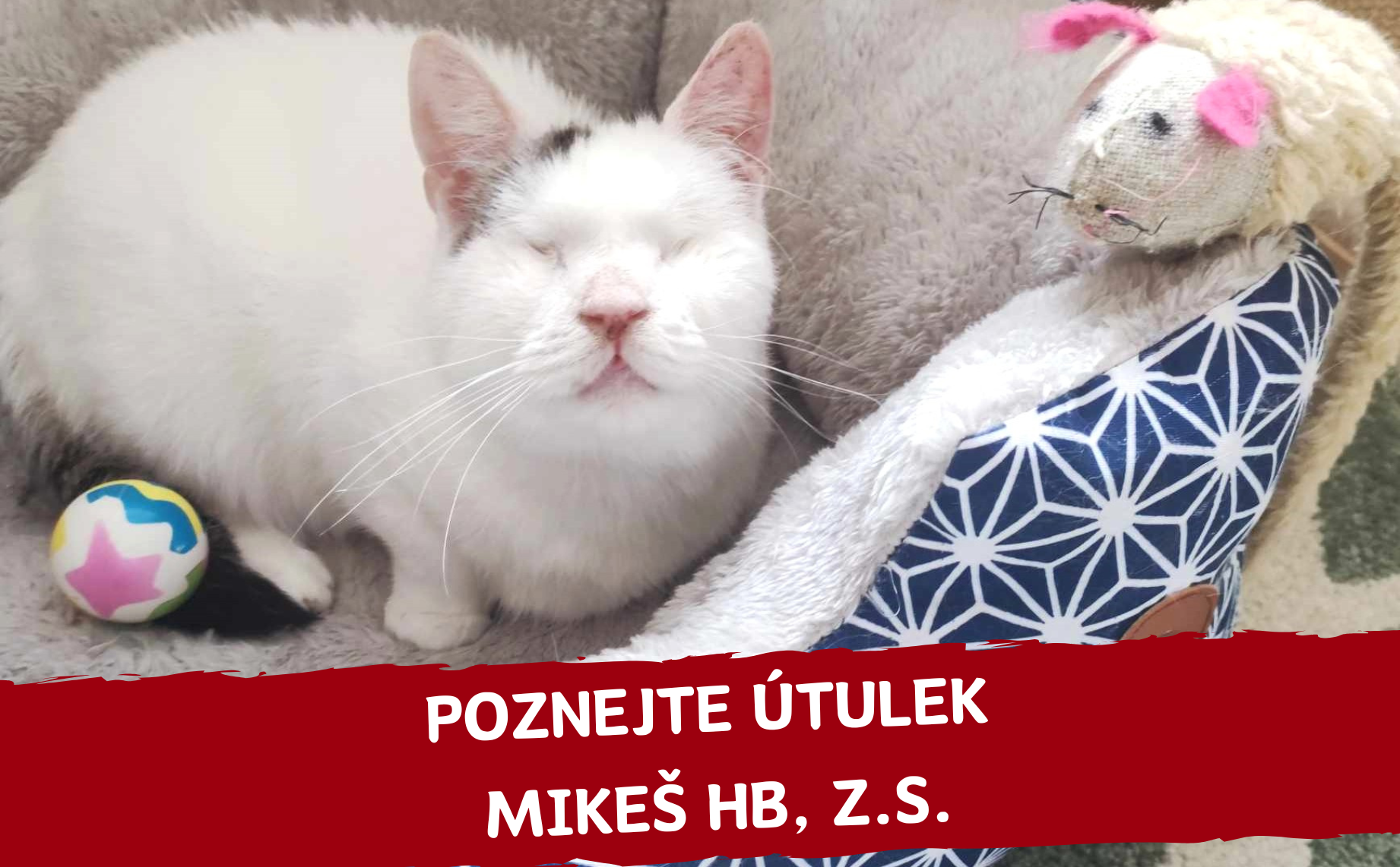 Komu tento měsíc pomáháme