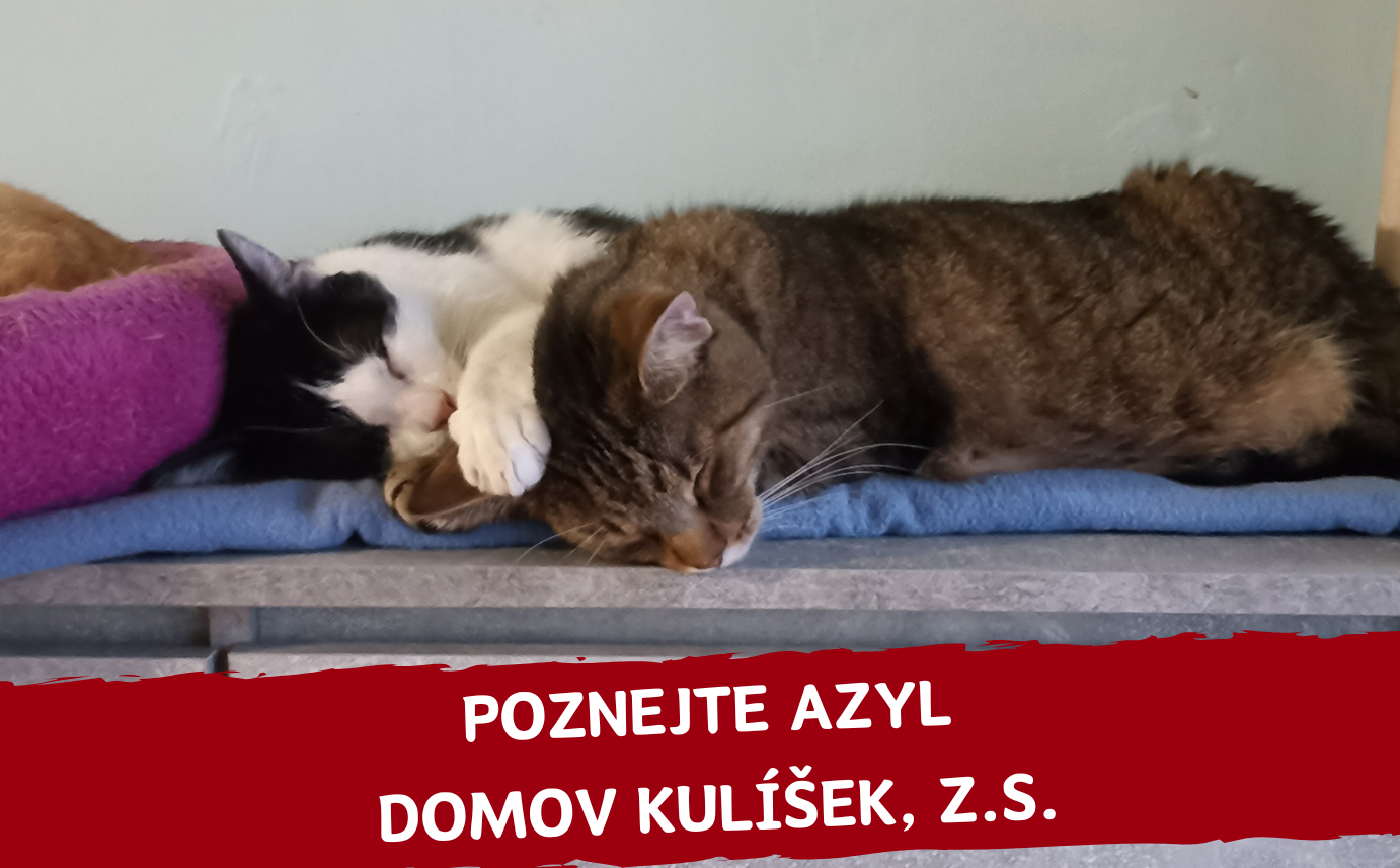 Komu tento měsíc pomáháme