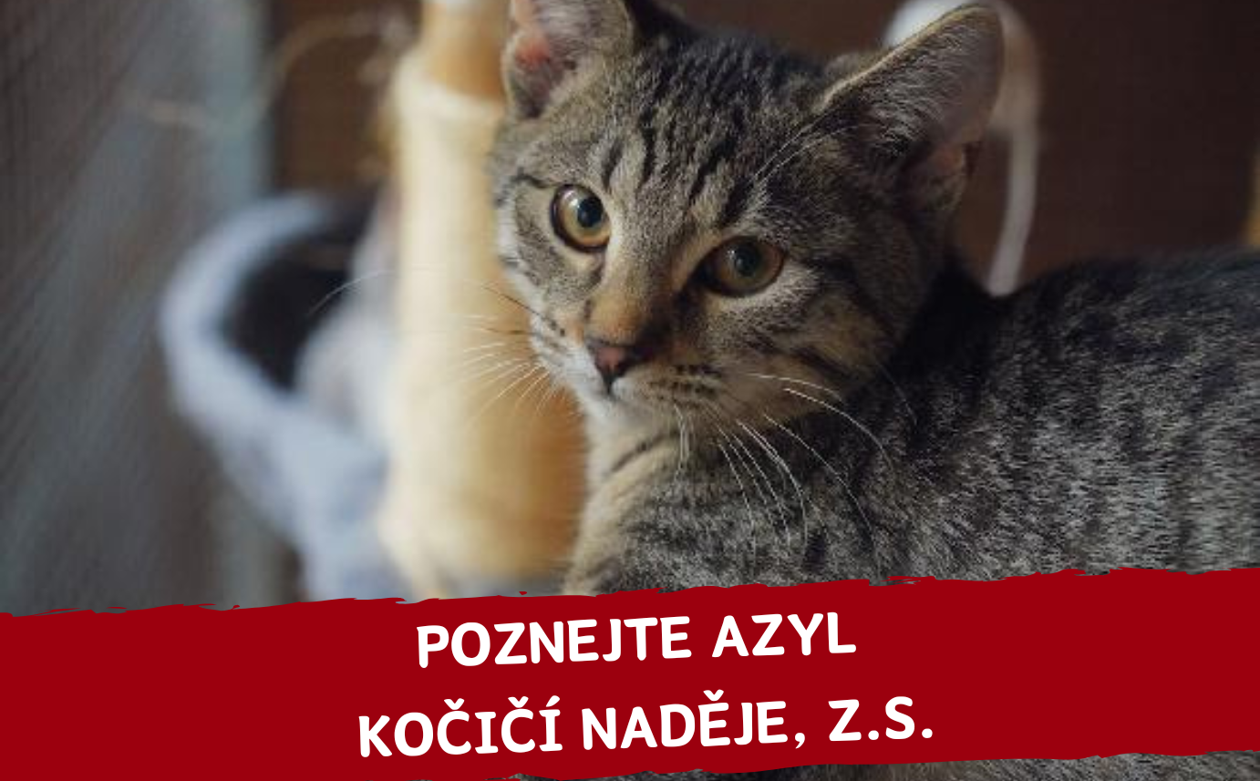 Komu tento měsíc pomáháme