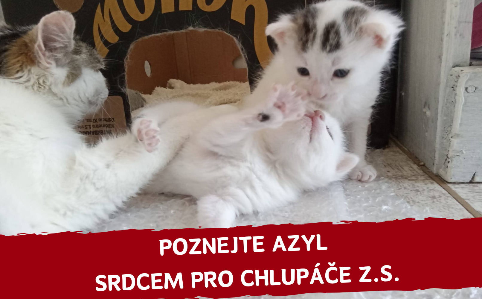 Komu tento měsíc pomáháme