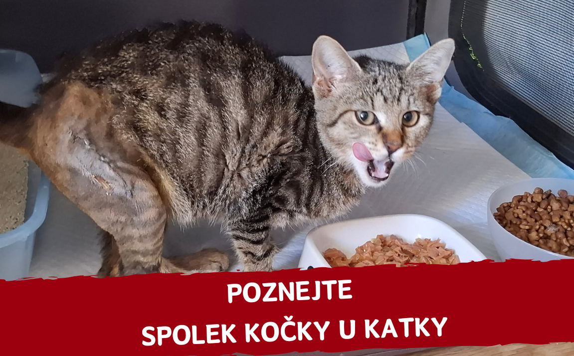 Komu tento měsíc pomáháme