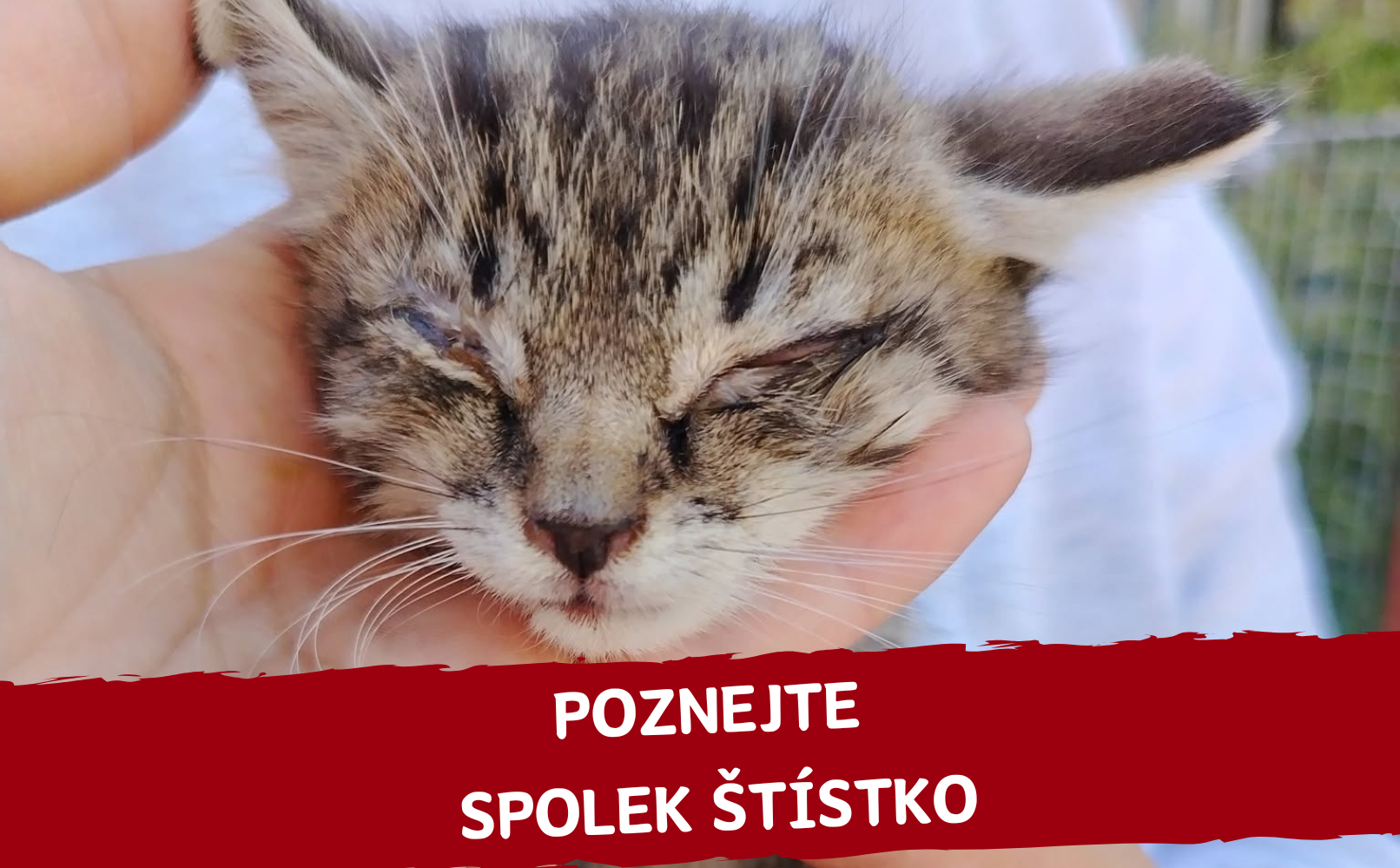 Komu tento měsíc pomáháme