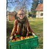 Petra Špindlerová DobroLádovna