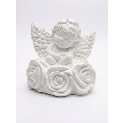 velký anděl růže