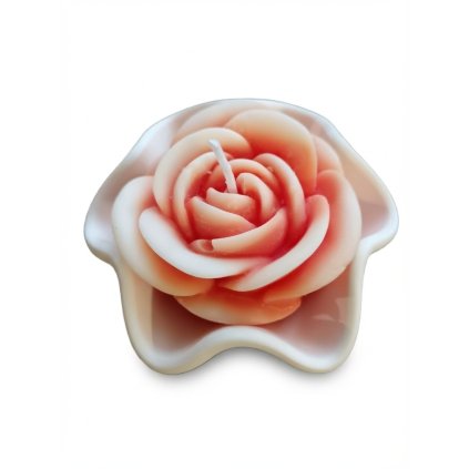 Gemini Generated Image 3tv6pb3tv6pb3tv6