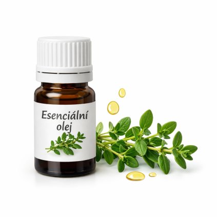 ChatGPT Image 16. 1. 2026 14 55 19