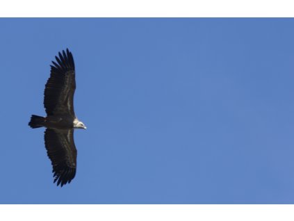 Místa mimořádného významu a obřady přírodních tradic - čtvrtek 18. prosince