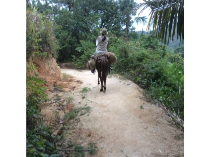 20170326 222344272 iOS