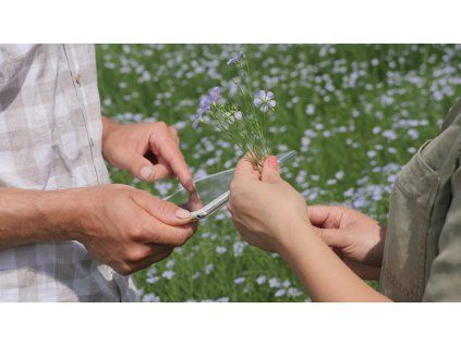 shutterstock 1999113737