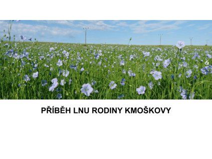 PŘÍBĚH LNU RODINY KMOŠKOVY