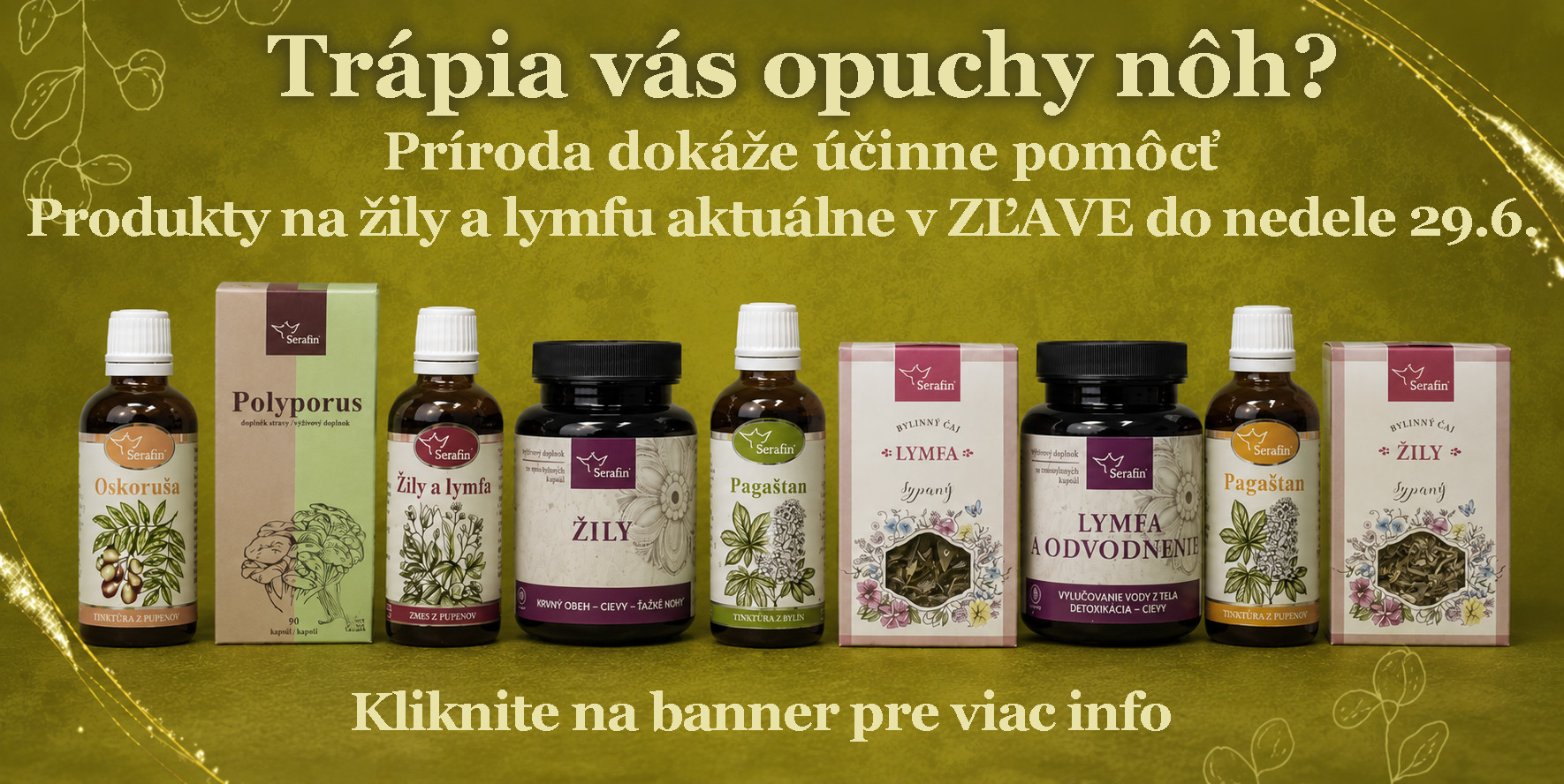 Žily a lymfa