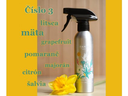 Sprej na čistenie priestoru a predmetov No. 3, 250ml Hanus