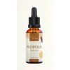 Propolis foto