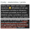 Cysty Dvorska a Sucharova 8 2025