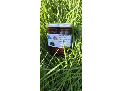 Domácí ovocný džem