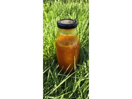 Domácí rakytníkový sirup