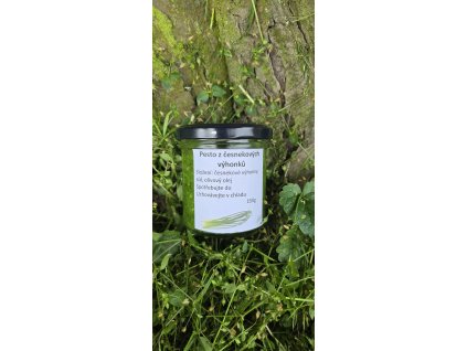 Pesto z česnekových výhonků