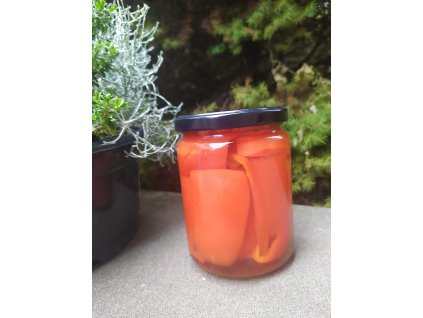 b8129785 c8ea 47ce bcf7 fcf47b3ad78e