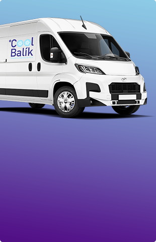 Obrázek - Garance rychlého doručení do Vánoc