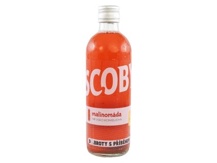 malina kombucha