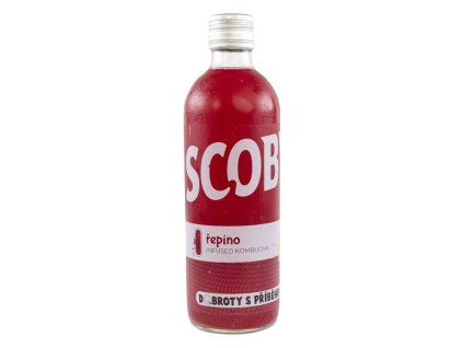 repino kombucha