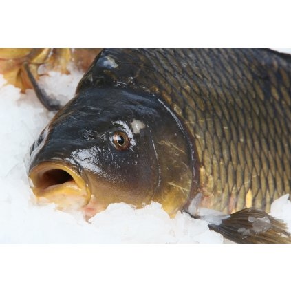 1452 bio kapr filet s kuzi bez kosti min 500g