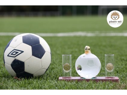 FOTBAL MIC 004 600x900c