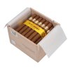 AC3CB3F1 04E1 49DE B557 110039FC9CC3
