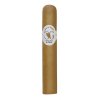 Robusto 2