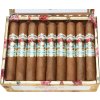 Ashton Paradiso Elegancia Robusto