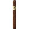 Trinidad Wide Short/6