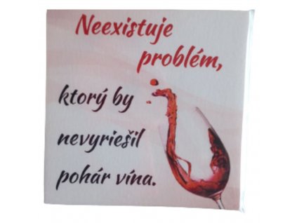 MAGNETKA NEEXISTUJE 1080