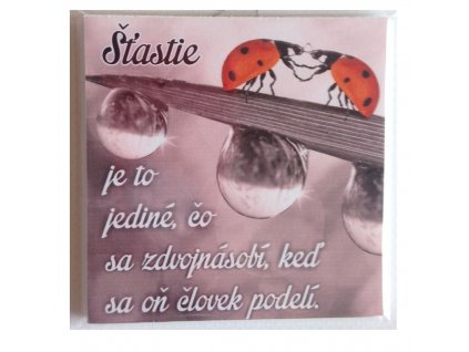 MAGNETKA LIENKY 1080