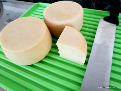 Odkapní plato - plast, 50 x 40cm