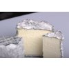 4. kurz Výroba sýrů 1 + Zrající a plísňové + Tažené sýry 20.,21.4.2024