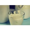 IOTA Probi 1 DL1 na 20l zakysaného mléka