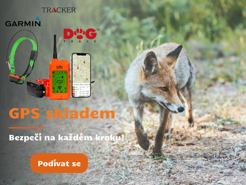 v pravo nahore - liska