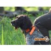 Vyhledávací zařízení pro psy DOG GPS X30 sada  + Doprava a dárek ZDARMA