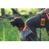 Vyhledávací zařízení pro psy DOG GPS X30 sada  + Doprava a dárek ZDARMA
