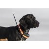 TRACKER ARTEMIS EASY - GPS sledovací obojek