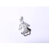 13660 stribrny privesek zk00659