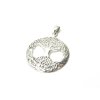 Stříbrný přívěsek ZO00233