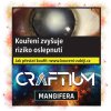 Tabák do vodní dýmky Craftium Mangifera 40 g