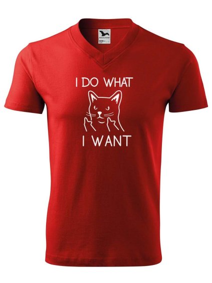 10499 2 panske v tricko s potiskem i do what i want