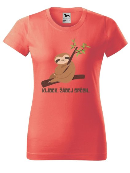 Dámské tričko s potiskem Klídek
